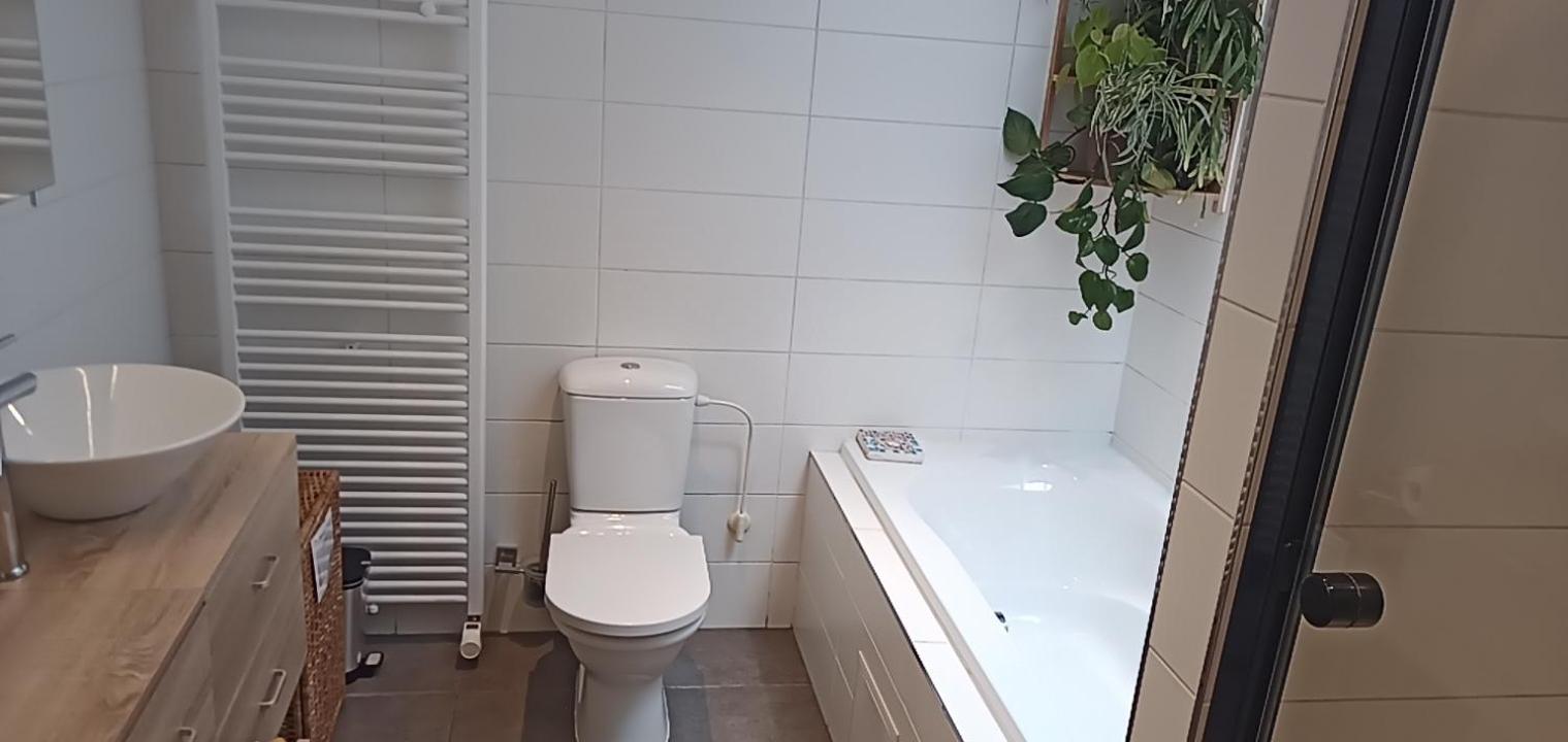 Lodgerivierenhof Antverpy Exteriér fotografie